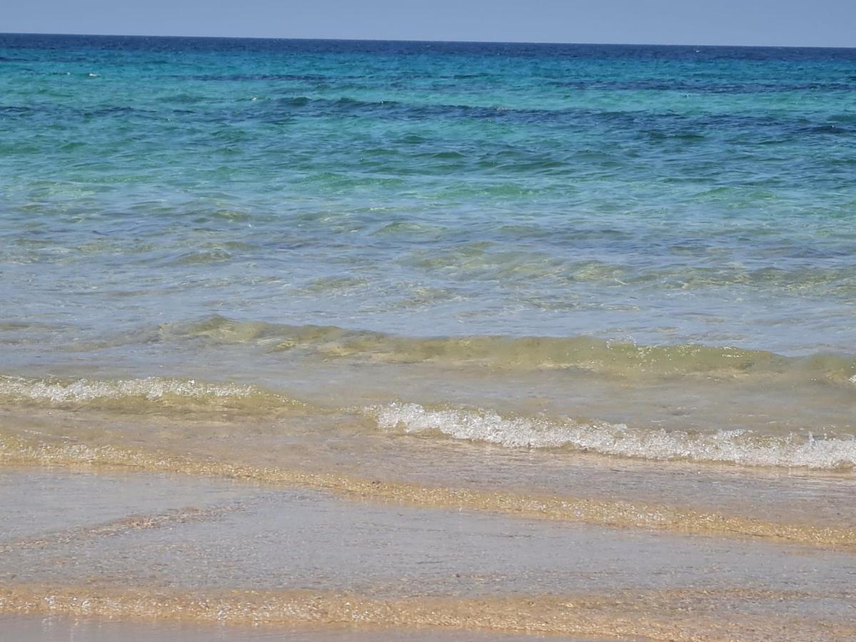 Cj Sea Home Camere Τράπανι Εξωτερικό φωτογραφία