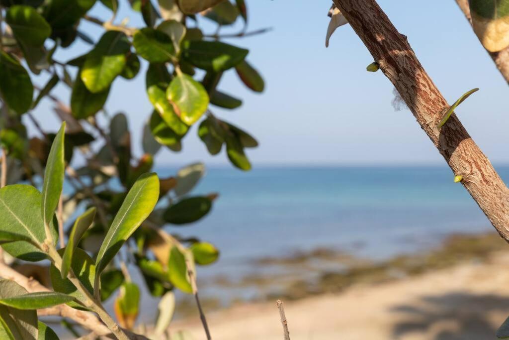 Cj Sea Home Camere Τράπανι Εξωτερικό φωτογραφία